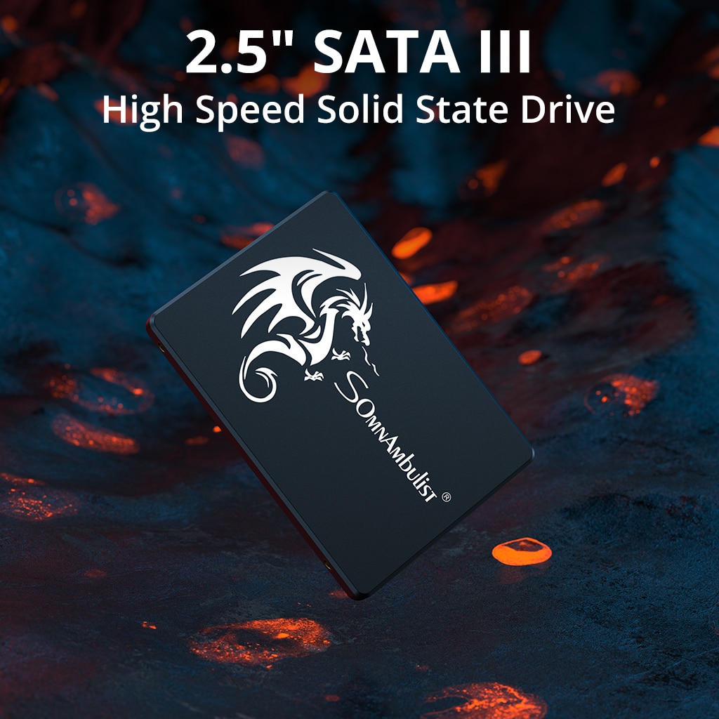 SomnAmbulist SSD 120GB 240GB 4 - Ssd 500Gb recensie en prijs