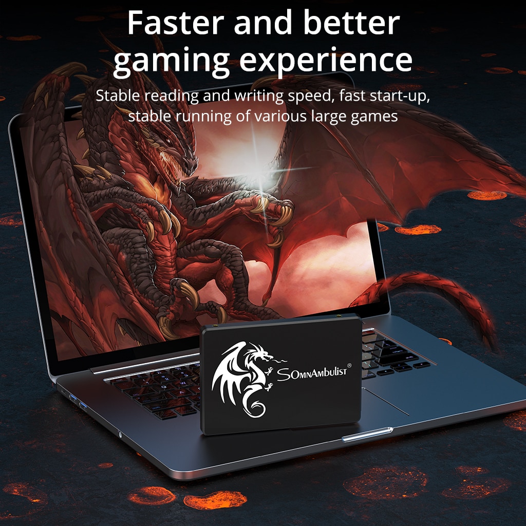 SomnAmbulist SSD 120GB 240GB 4 - Ssd 500Gb recensie en prijs